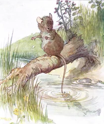 「魚がやって来て、鋭いニップを与えた」イラストは、「The Mischievious Mousie Book」（Thomas Nelson und Sons、1920年代）のイラストです。